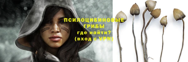 скорость Белокуриха