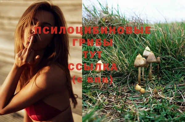 круглые Балахна