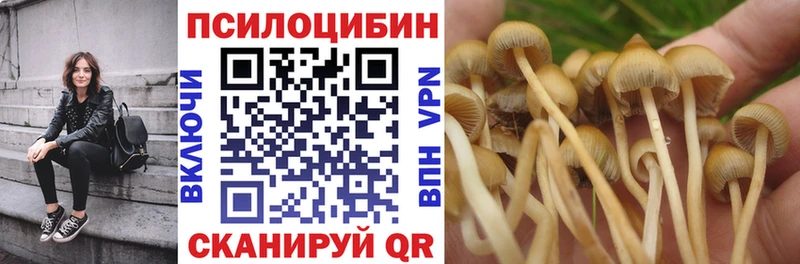 Галлюциногенные грибы Psilocybine cubensis это официальный сайт Еманжелинск МЕГА зеркало